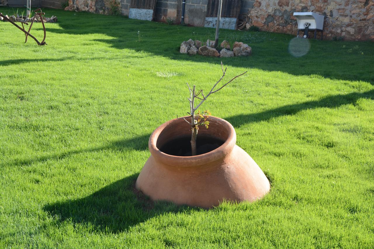 Casa Rural Aromas De La Manchuela Alborea Dış mekan fotoğraf
